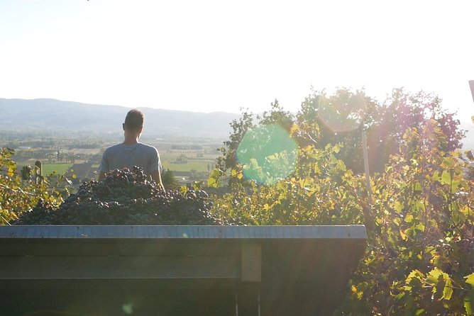 Organic Winery tour with Full Lunch from Assisi - Key points to know before booking