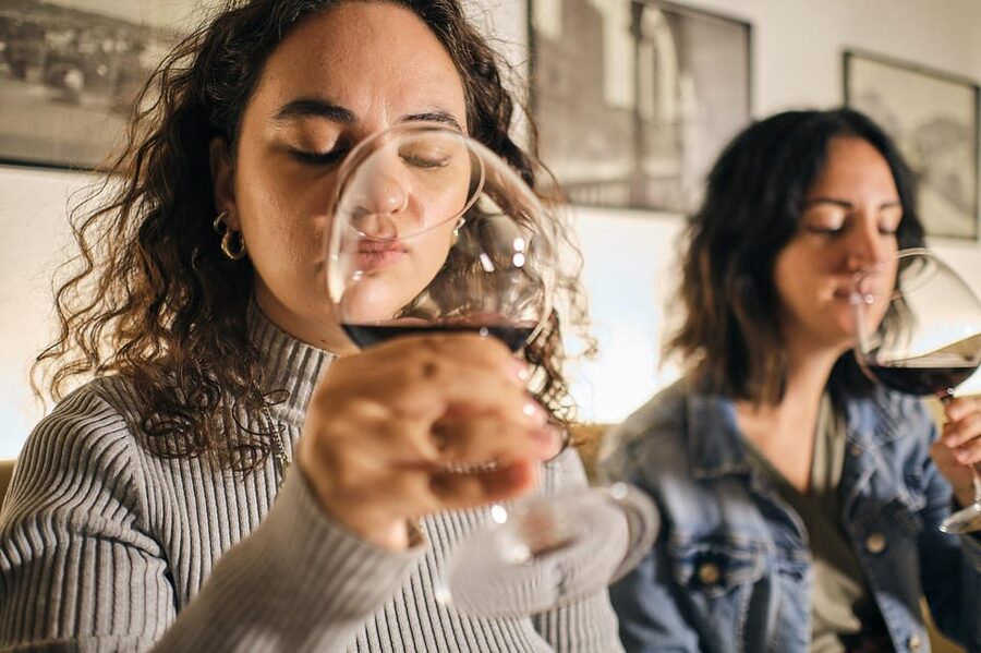 Organic Winery Visit near Turin with Wine & Food Tasting - Quick facts worth knowing