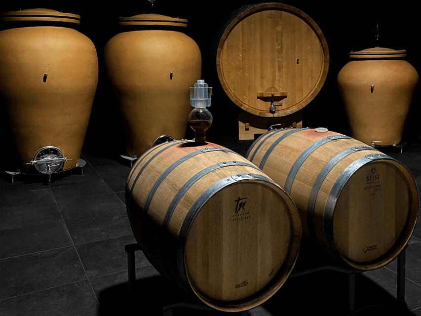 Organic Winery Visit near Turin with Wine & Food Tasting - A compact Canavese wine experience near Turin