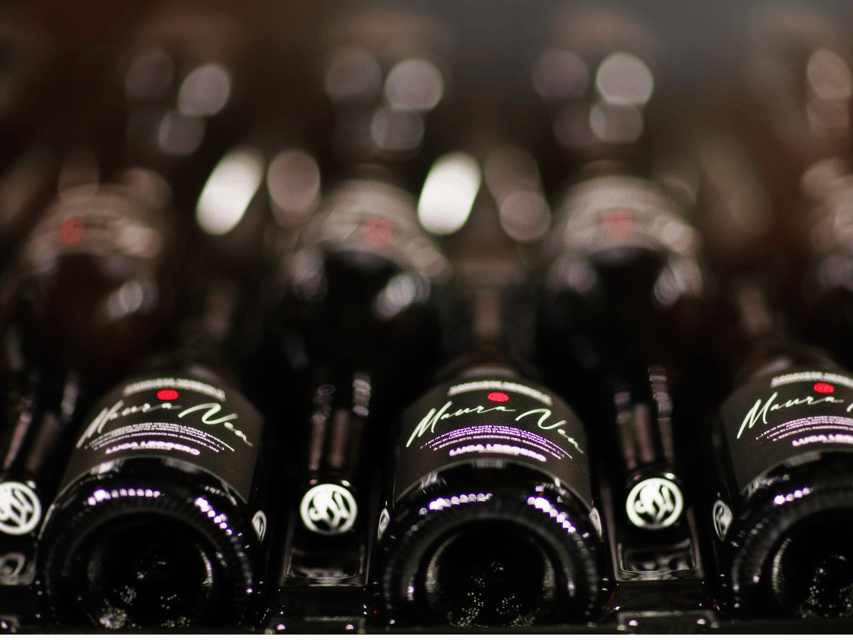 Organic Winery Visit near Turin with Wine & Food Tasting - Cheese, cured meat, and Turin grissini