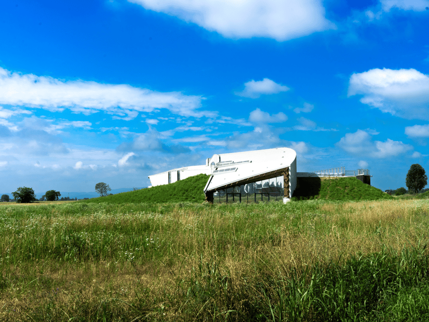 Organic Winery Visit near Turin with Wine & Food Tasting - What the two-hour schedule feels like