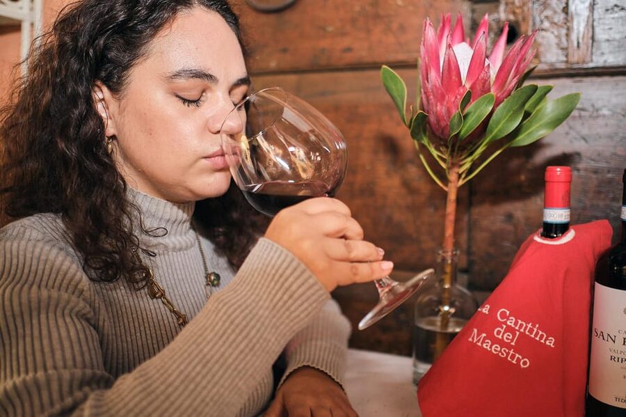 Organic Winery Visit near Turin with Wine & Food Tasting - Who will get the most from this visit