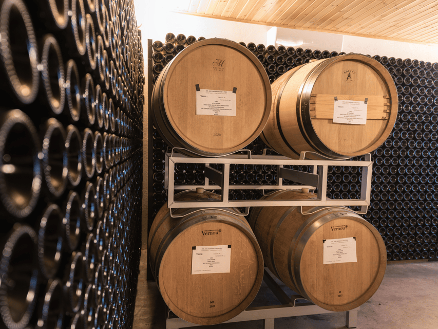 Organic Winery Visit & Wine Tasting with Food in Pavia - The 15-minute walk through organic vines