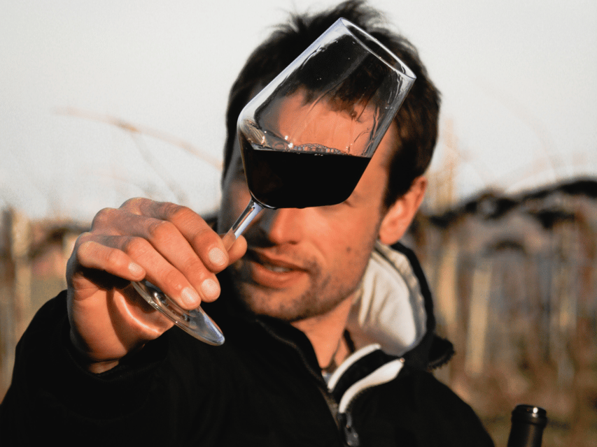 Organic Winery Visit & Wine Tasting with Food in Pavia - From grape to bottle in 45 minutes
