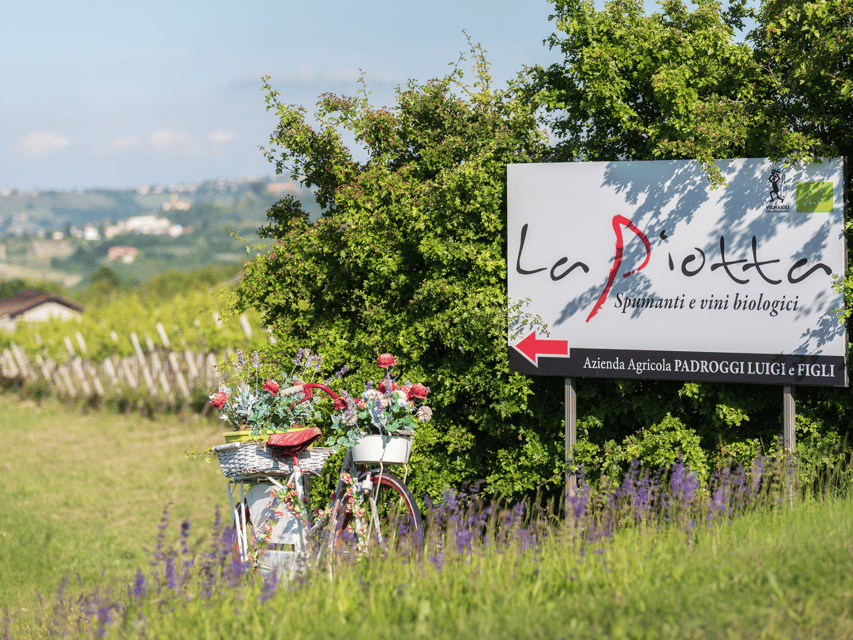Organic Winery Visit & Wine Tasting with Food in Pavia - Who will enjoy this winery visit most?