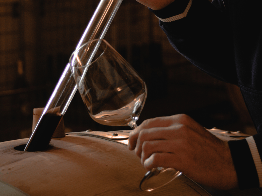 Organic Winery Visit & Wine Tasting with Food in Pavia - Starting at La Piotta in Montalto Pavese