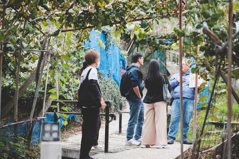 Osaka Winery Tour with Wine Tasting & Vineyard Walk - What the guide adds to the experience