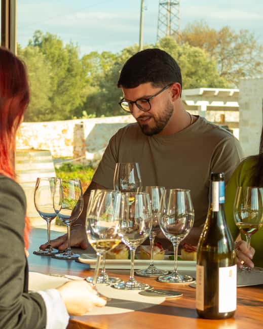 Ostuni's organic wines – tour and tasting in the winery - Key points to know before you book