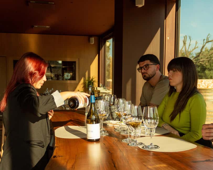 Ostuni's organic wines – tour and tasting in the winery - Why this winery visit feels different from a standard tasting