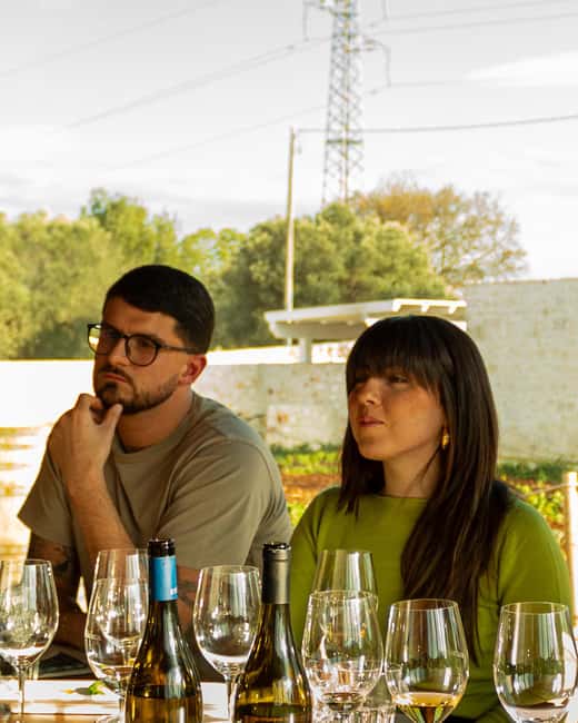 Ostuni's organic wines – tour and tasting in the winery - What the two-hour schedule means for your day