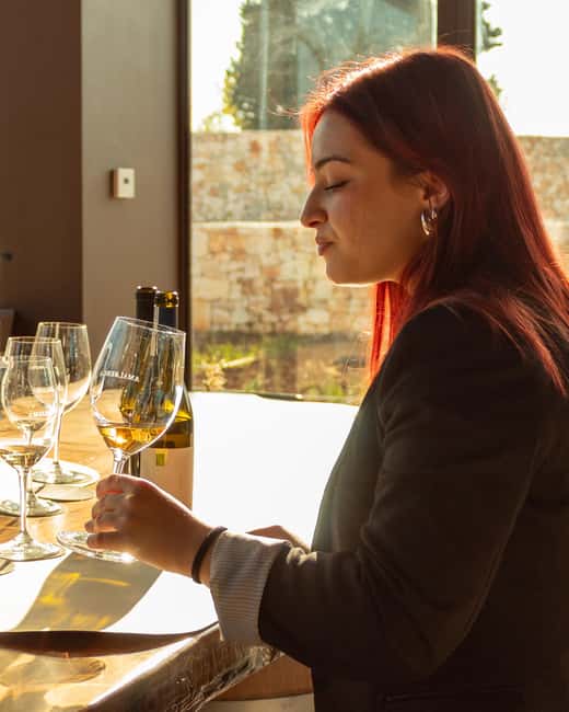 Ostuni's organic wines – tour and tasting in the winery - Is the $65 price good value?