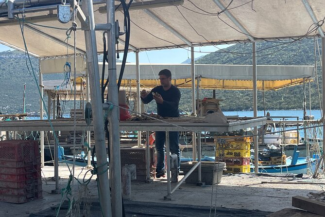 Oyster Farm, Ston and Winery Tour - Ston in 30 minutes: walls, salt, and oysters