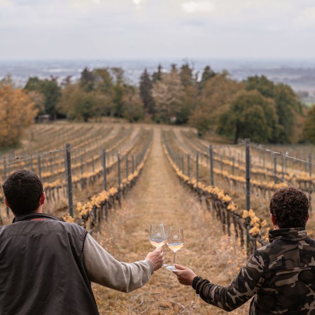 Ozzano Emilia: Guided Cellar Walking Tour with Wine Tasting - Key points to know before you book
