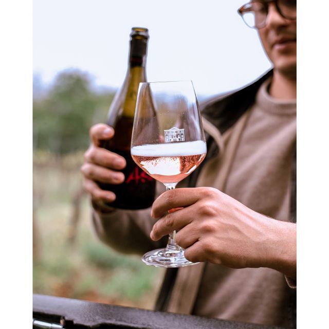 Ozzano Emilia: Guided Cellar Walking Tour with Wine Tasting - A working vineyard near Bologna, not a staged tasting room