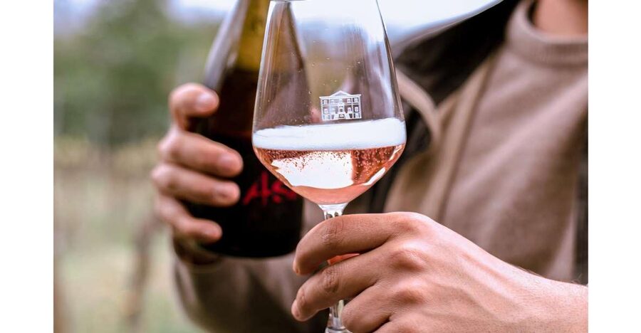 Ozzano Emilia: Guided Cellar Walking Tour with Wine Tasting - Walking among the vines when the weather allows