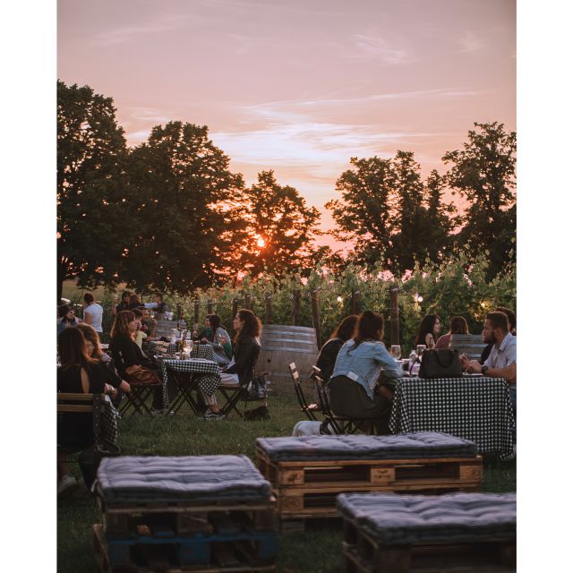 Ozzano Emilia: Guided Cellar Walking Tour with Wine Tasting - Getting there from Bologna