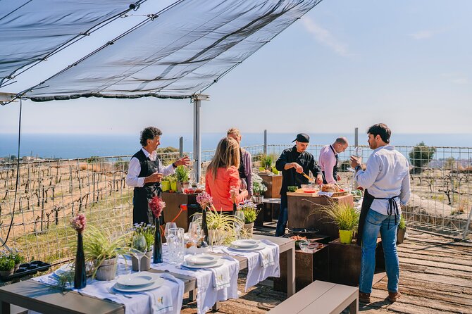 Paella Cooking Experience & Winery Tour from Barcelona - Cooking paella instead of simply ordering it