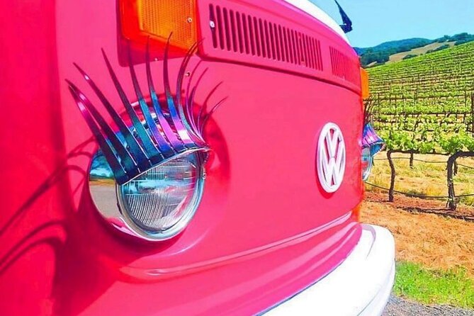 Painted Ladies Wine Country Tour - Guides, music, and the human side of the trip