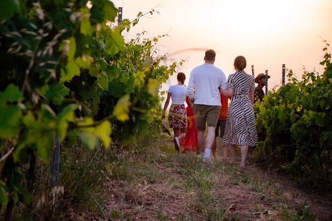 Palau: wine tasting in a Gallura winery - The Price: Is $98 Per Person Fair?
