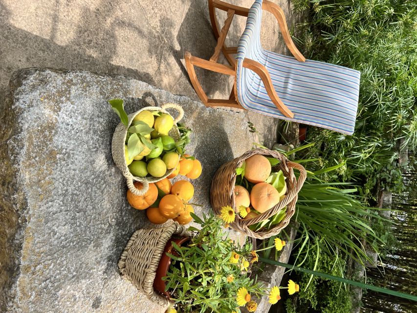 Palma: Orange Farm, Olive Mill, & Winery Tour with Tastings - Key points at a glance