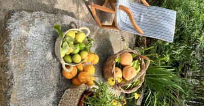Palma: Orange Farm, Olive Mill, & Winery Tour with Tastings