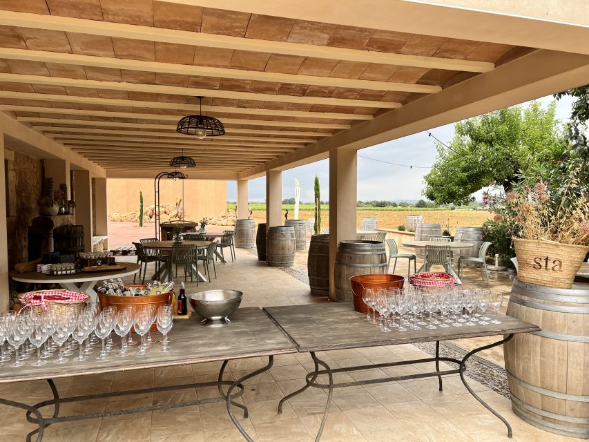 Palma: Orange Farm, Olive Mill, & Winery Tour with Tastings - The olive estate and its small oil mill