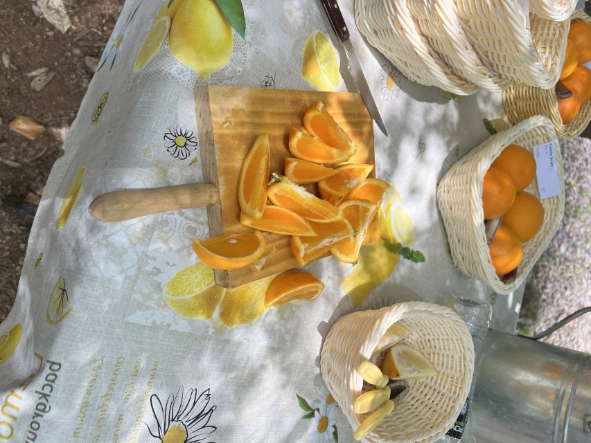 Palma: Orange Farm, Olive Mill, & Winery Tour with Tastings - Wine, grapes, and three local pours