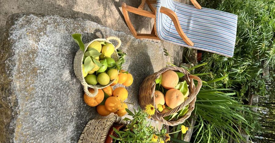 Palma: Orange Farm, Olive Mill, & Winery Tour with Tastings - The 45-minute ride into the Tramuntana Mountains