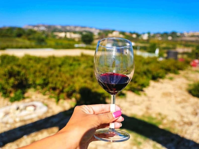 Paphos: Wine Tour – Vineyards, Tastings & Scenic Views - Sterna Winery in Kathikas