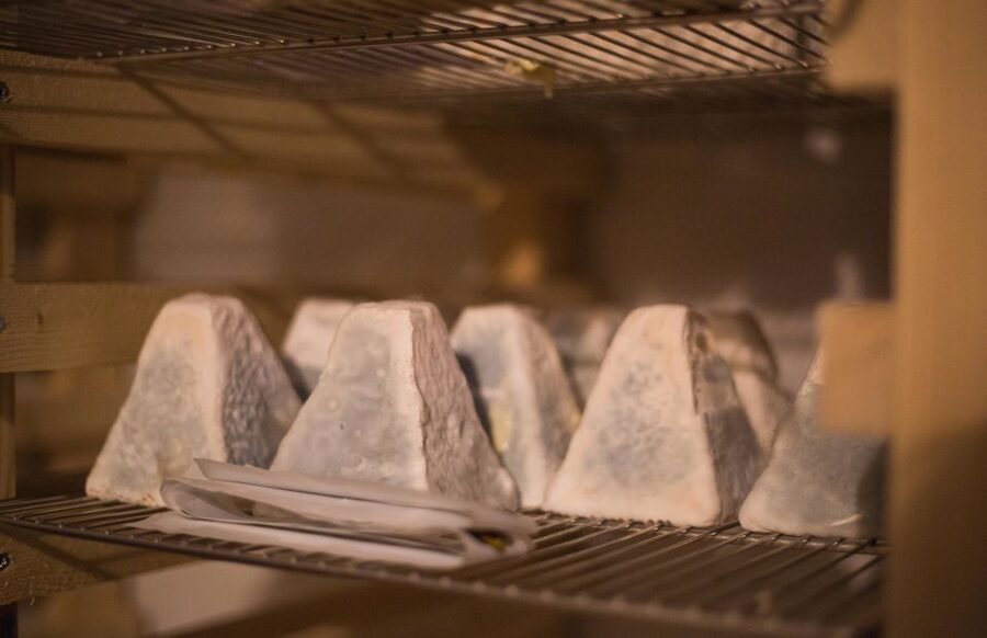 Paris: Cheese and Wine Class in a 17th Century Cellar - Why this cellar makes a better classroom than a tasting counter