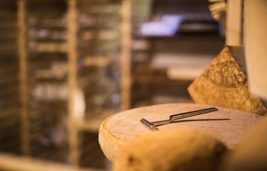 Paris: Cheese and Wine Class in a 17th Century Cellar - Three wines and the logic behind each pairing