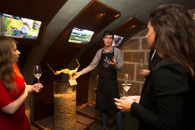 Paris - Guided Visit & Tasting in a Royal Wine Cellar - The Cellar Experience: Atmospheric but Modern