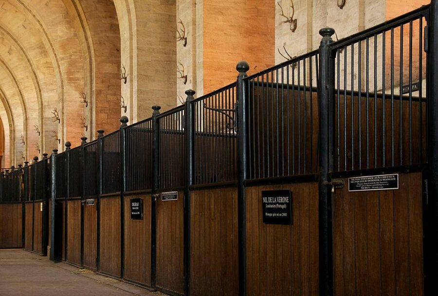 Paris: Private Tour of Domaine de Chantilly Ticket&Transfer - From Le Nôtre’s French garden to the Anglo-Chinese hamlet