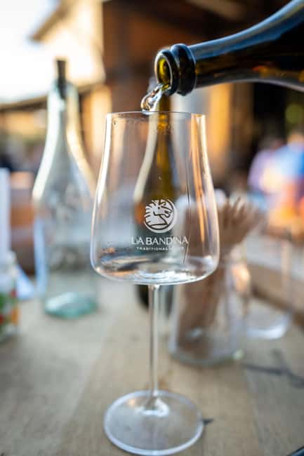 Parma: Visit the Vineyard and Taste 5 Local Wines - Five traditional Emilian wines at the table