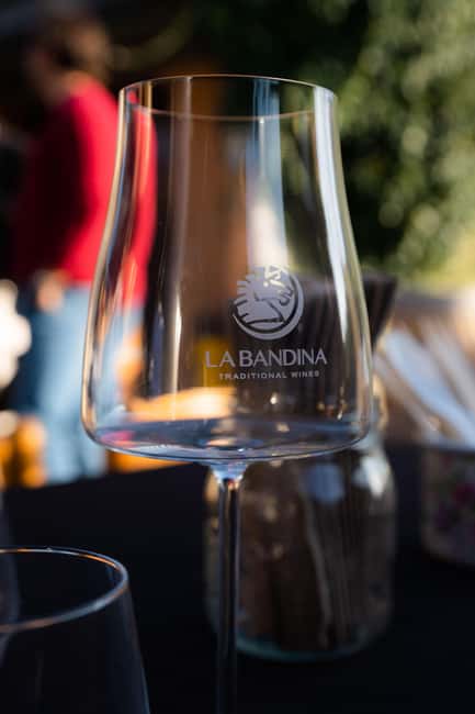 Parma: Visit the Vineyard and Taste 5 Local Wines - Should you book La Bandina Traditional Wines?