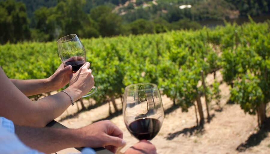 Parma: Winery Tour and tasting - Key points to know before booking