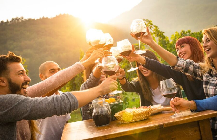 Parma: Winery Tour and tasting - Should you book this Parma winery tour?