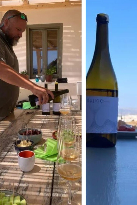 Paros: Wine tasting at Local Winery - Five wines, including a natural pet-nat