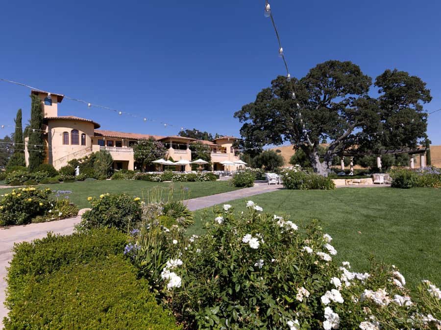 Paso Robles & Atascadero: 3-Winery Tour Including Lunch - Practical tips for a smoother day