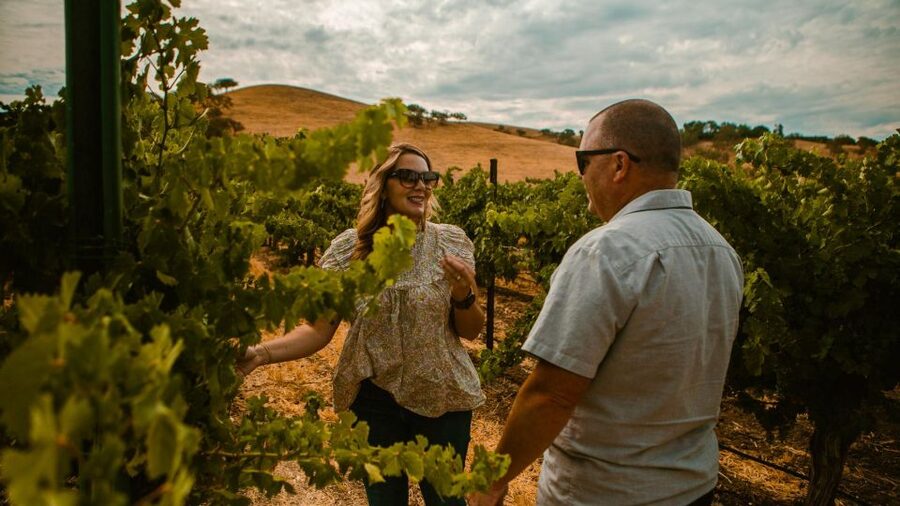 Paso Robles: Scenic Sidecar Vineyard Tour - Key points to know before you book