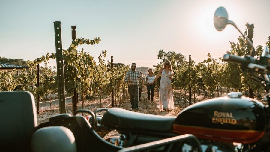 Paso Robles: Scenic Sidecar Vineyard Tour - Who will enjoy this most?
