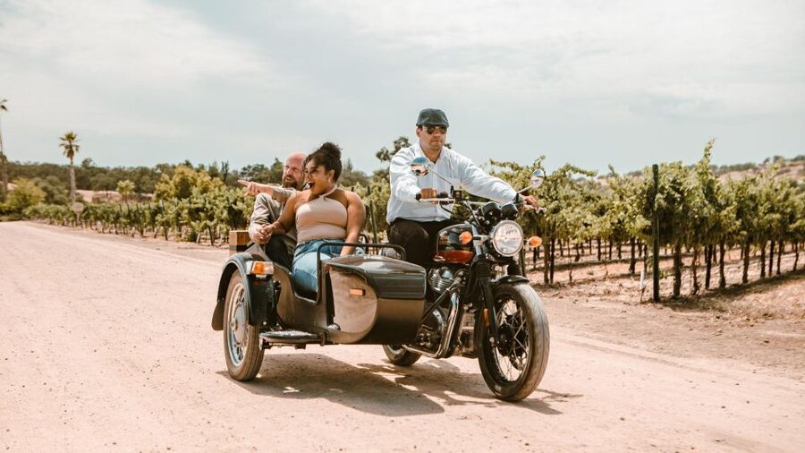 Paso Robles: Scenic Sidecar Vineyard Tour - What the guide adds to the experience