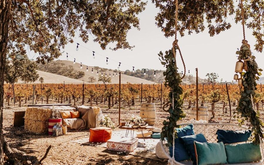 Paso Robles: Sunset at the Vineyards Sidecar Wine Adventure - The 40-minute vineyard visit