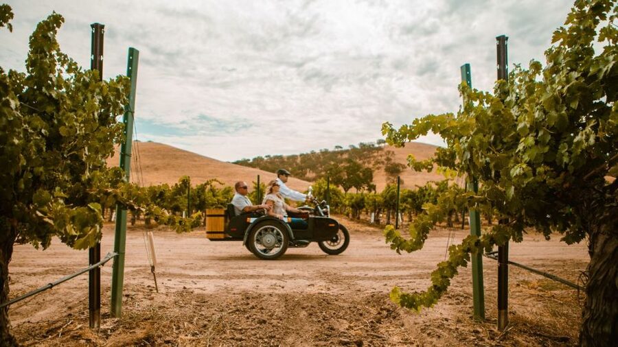 Paso Robles: The Luxe Wine Trail Tour in a Sidecar - The ride back to Cass Winery