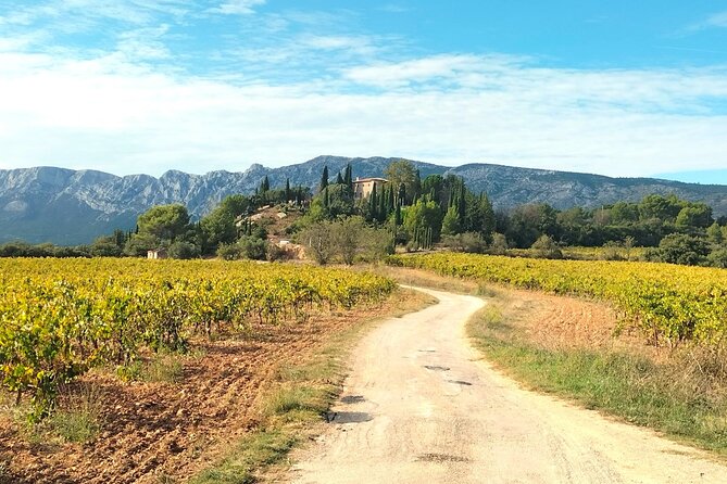 Peaceful Countryside Day : Vineyards, Food & Villages - Who will enjoy this day most