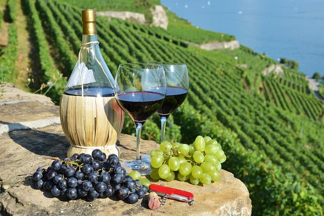 Peljesac Vineyards & Oysters - Private Day Trip from Dubrovnik-Mercedes Vehicle - Key points at a glance