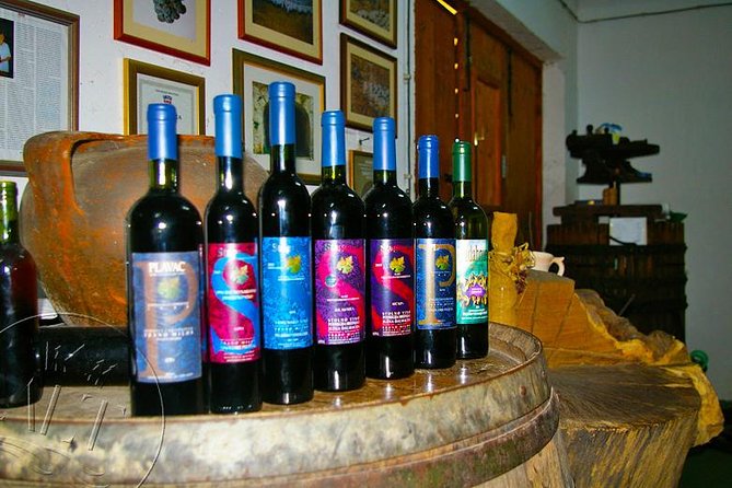 Peljesac Vineyards & Oysters - Private Day Trip from Dubrovnik-Mercedes Vehicle - What the private Mercedes ride changes