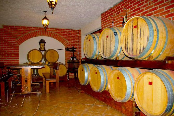 Peljesac Vineyards & Oysters - Private Day Trip from Dubrovnik-Mercedes Vehicle - Choosing between three Peljesac wineries
