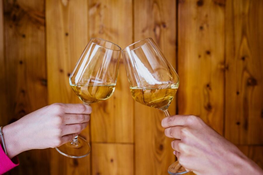 Pelješac wine tasting and local winery visit - A short look inside the family winery