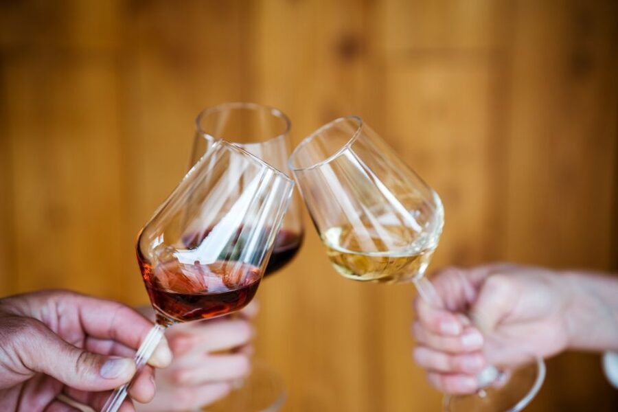Pelješac wine tasting and local winery visit - Cheese, cured meat, olives, and homemade bread